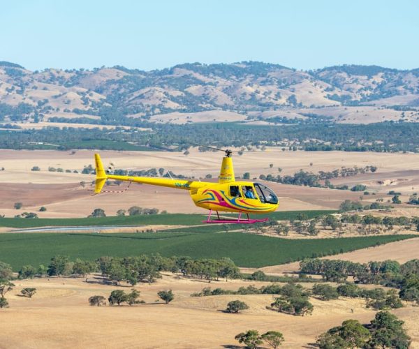 Barossa Valley: Scenic Helicopter Flight & Private Wine Tour – South Australia, Australia