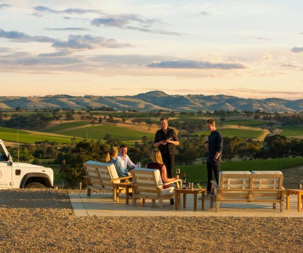 Barossa Valley: Two Hands 1.5-Hour Vineyard Tour – South Australia, Australia