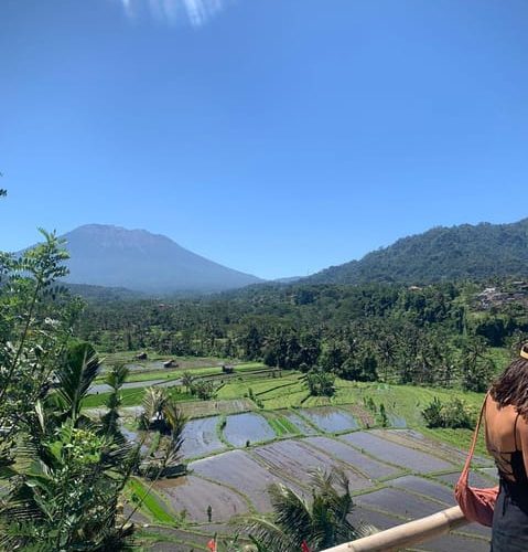 Besakih Mother Temple and Rice Terrace Bali Day Tour – Bali, Indonesia