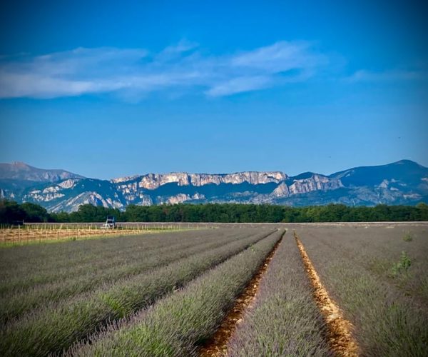 Bespoke Luxury Sightseeing Experiences – Provence-Alpes-Côte d’Azur, France