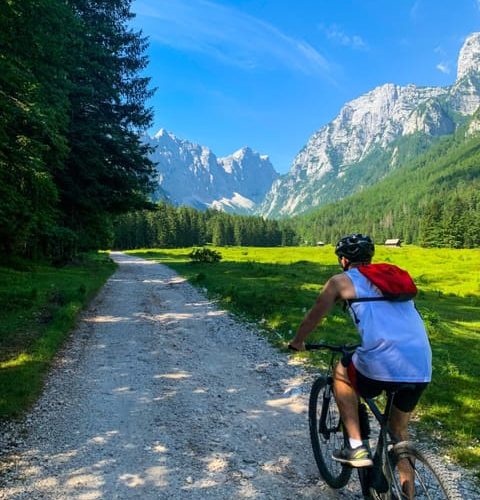 Bled: EBike Tour Lake Bled & Triglav National Park Private – Central Slovenia, Slovenia