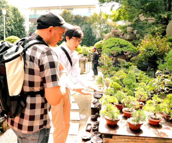 Bonsai City: Bonsai Tour & Experience at Bonsai Sanctuary – Kanto Region, Japan