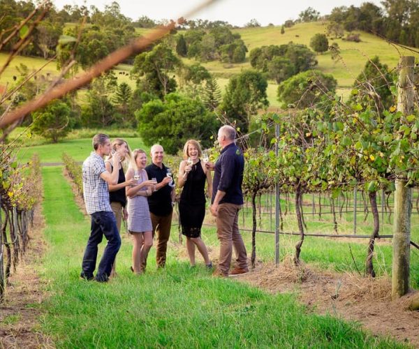 Brisbane: Wine & Dine In The Vines – Queensland, Australia