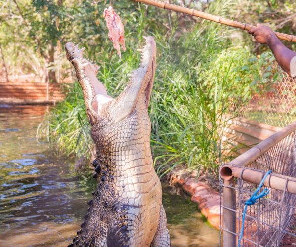 Broome: Matso’s Brewery, Museum & Crocodile Park Combo Tour – Western Australia, Australia