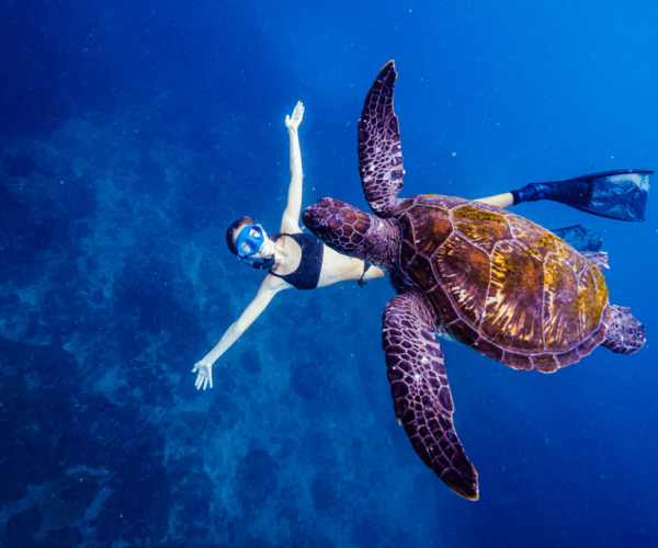 Brunswick Heads: Snorkelling in Byron Bay – New South Wales, Australia