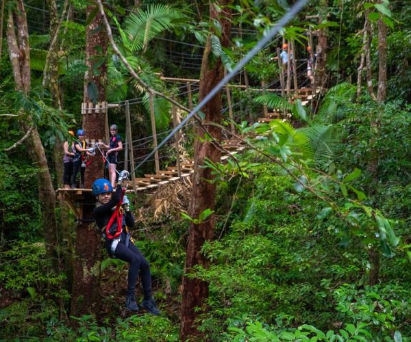 Cairns: Daintree Rainforest Canopy Ziplining Tour – Queensland, Australia