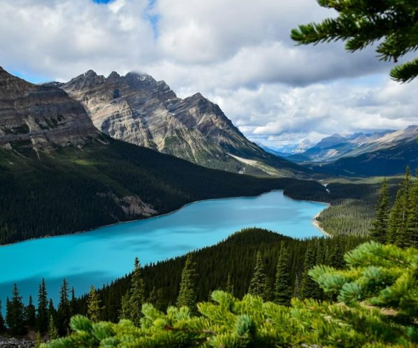 Calgary/Banff: Lake Louise, Moraine, Peyto & Bow Lakes Tour – Alberta, Canada