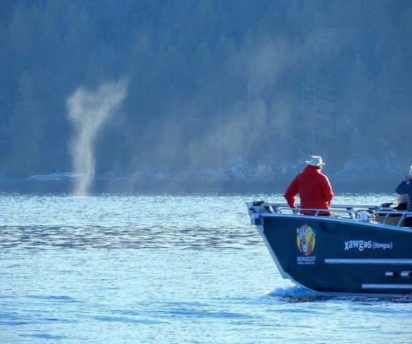 Campbell River: Salish Sea Whale Watching Adventure – British Columbia, Canada