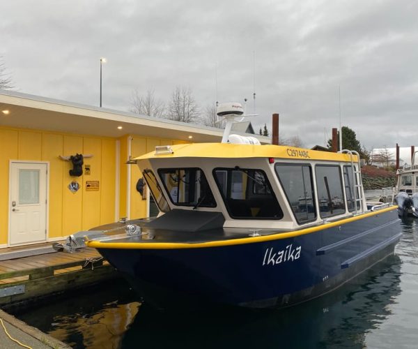 Campbell River: Whale Watching Covered Boat Tour with Lunch – British Columbia, Canada