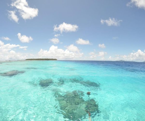 Cancun: Glass-bottom boat tour – Quintana Roo, Mexico