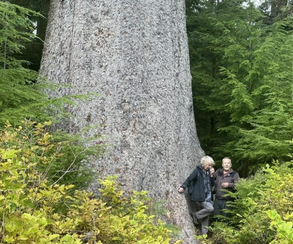 Cape Scott: San Josef Bay Day Hike with Scenic Drive – British Columbia, Canada