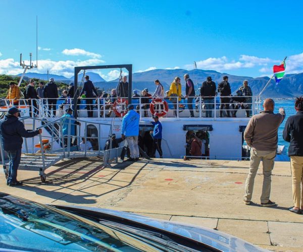 Cape Town: Hermanus Boat Cruise Whale Watching Tour – Western Cape, South Africa