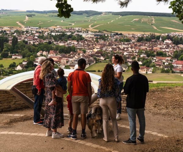 Chablis: Visit of the Grand Cru vineyard – Bourgogne-Franche-Comté, France