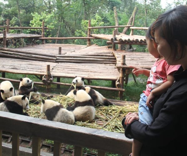 Chengdu: Private Panda Base Tour with 80 Pandas – Southwestern China, China