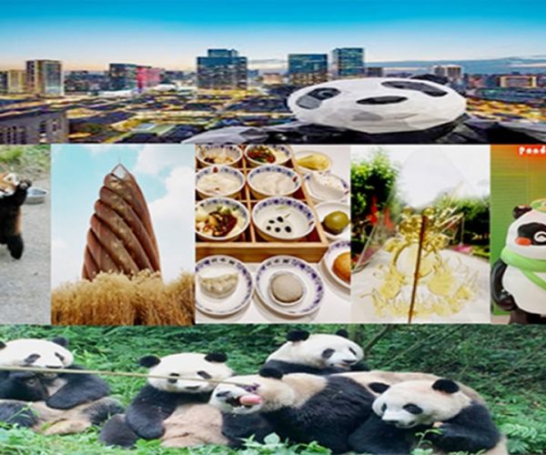 Chengdu downtown essences private day tour – Southwestern China, China