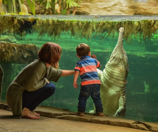 Chester: Chester Zoo Entry Ticket – Cheshire, United Kingdom