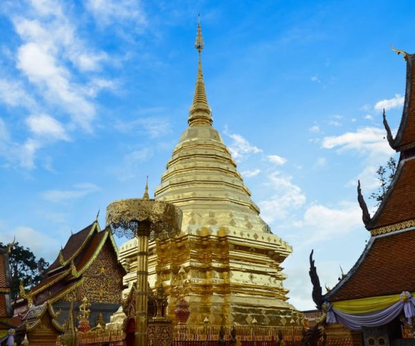 Chiang Mai: 4-hour Doi Suthep, Wat Umong, & Wat Phalat Tour – Chiang Mai Province, Thailand