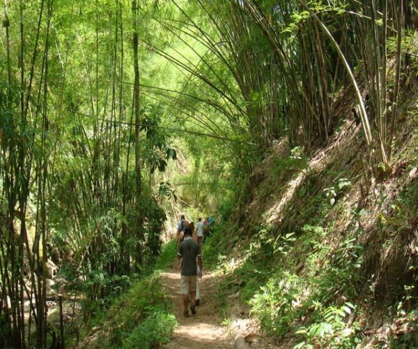 Chiang Mai: Doi Suthep-Pui National Park Day Tour & Rafting – Chiang Mai Province, Thailand