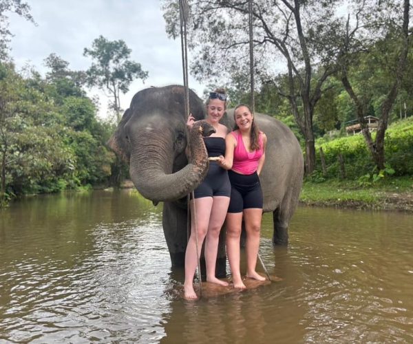 Chiang Mai: Elephant Sanctuary & Waterfall Group Tour – Chiang Mai Province, Thailand