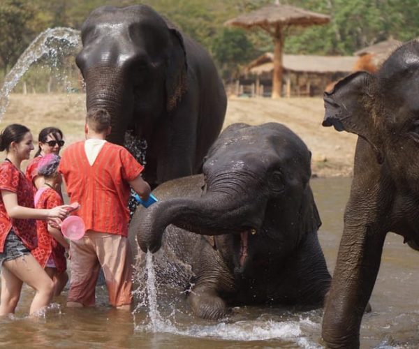 Chiang Mai: Elephant care & Long Neck &Sticky Waterfall Tour – Chiang Mai Province, Thailand