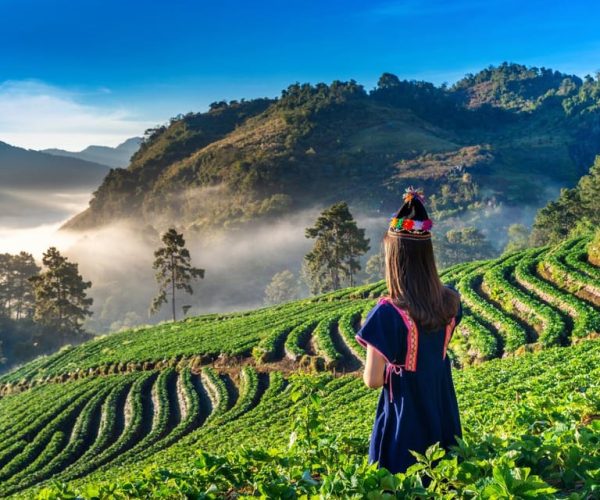 Chiang Mai: Full-Day Private Car Charter to Doi Ang Khang – Chiang Mai Province, Thailand