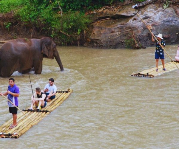 Chiang Mai: Living Green Elephant Sanctuary & Bamboo Rafting – Chiang Mai Province, Thailand