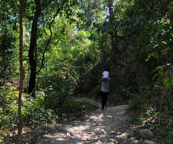 Chiang Mai Monk’s Trail Wat Pha Lat & Visit Wat Doi Suthep – Chiang Mai Province, Thailand