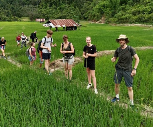 Chiang Mai One Day Eco Trekking Tour with Lunch&Guide – Chiang Mai Province, Thailand