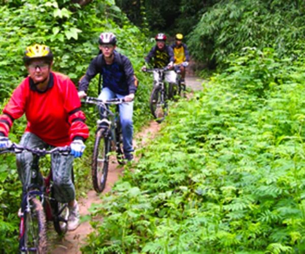 Chiang Mai: Rainforest Guided Mountain Biking Tour – Chiang Mai Province, Thailand