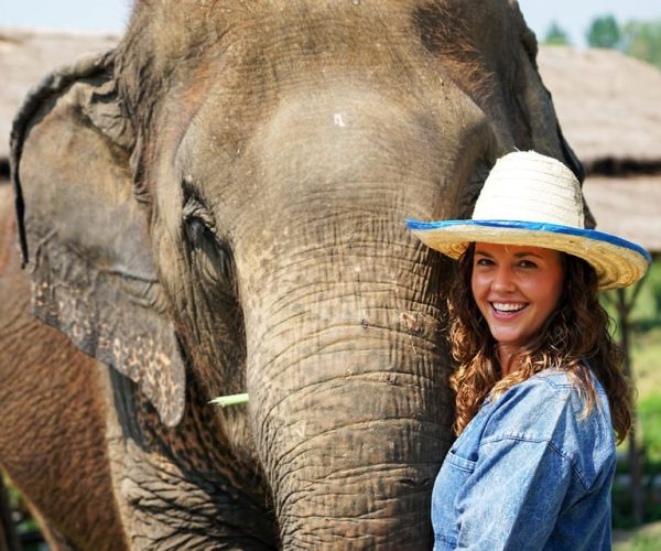 Chiang Mai: Small Group Ethical Elephant Sanctuary Tour – Chiang Mai Province, Thailand