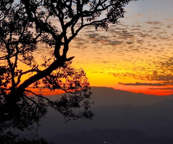 Chiang Mai Sunset Point,Wat Pha Lat,Wat Doi Suthep,Wat Umong – Chiang Mai Province, Thailand