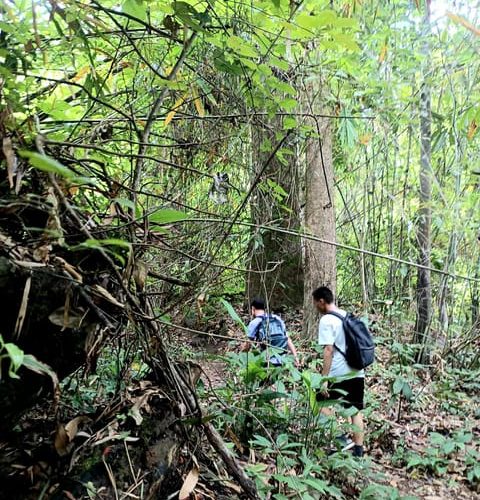 Chiang Mai: highlight Overnight stay trekking experience – Chiang Mai Province, Thailand