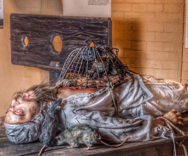 Chicago: Medieval Torture Museum Ticket with Ghost Hunting – Chicago, Illinois