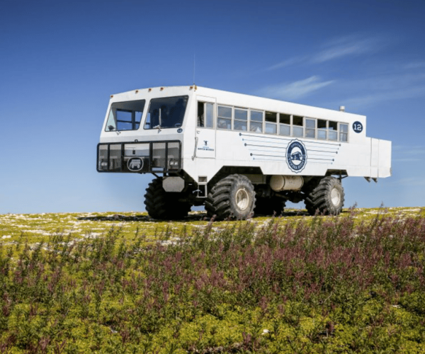 Churchill: Exclusive Tundra Buggy Day Trip – Manitoba, Canada