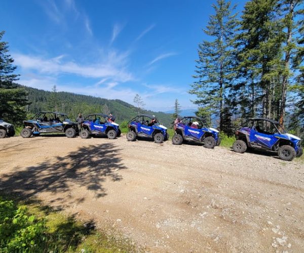 Coeur d’Alene: Off Road UTV Rental in National Forest – Coeur d’Alene, Idaho