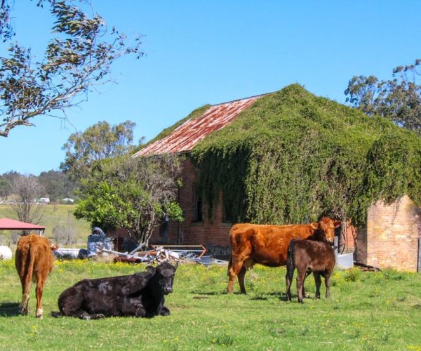 Country towns. Departing Newcastle. – New South Wales, Australia