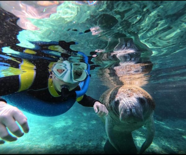 Crystal River: Manatee Swim and Sunset Boat Tour – Crystal River, Florida