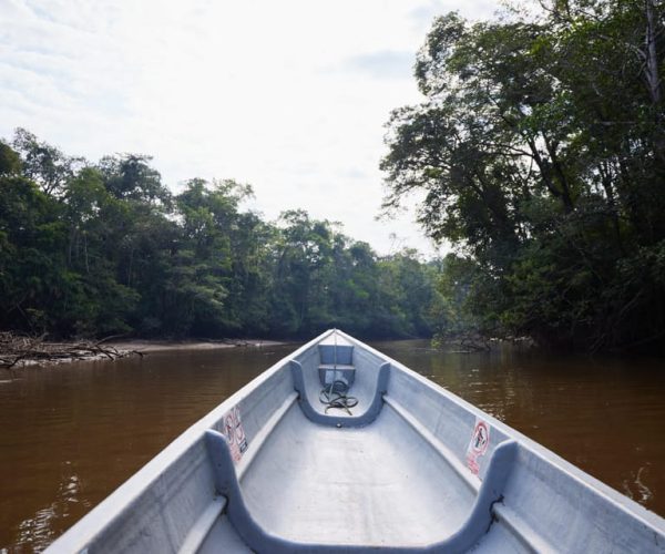 Cuyabeno: 4-Day Amazon Jungle Adventure with Lodge Stay – Sucumbíos Province, Ecuador