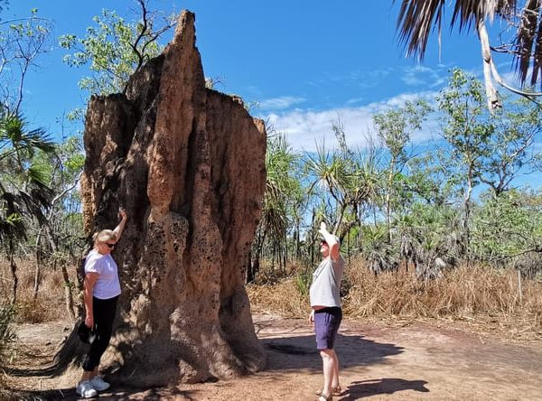 Darwin: Litchfield National Park and Berry Springs Day Tour – Northern Territory, Australia