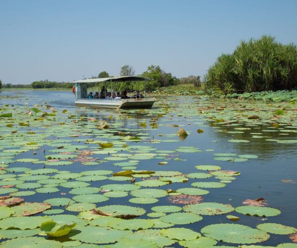 Darwin: Mary River Wetlands Wildlife Cruise with Lunch – Northern Territory, Australia