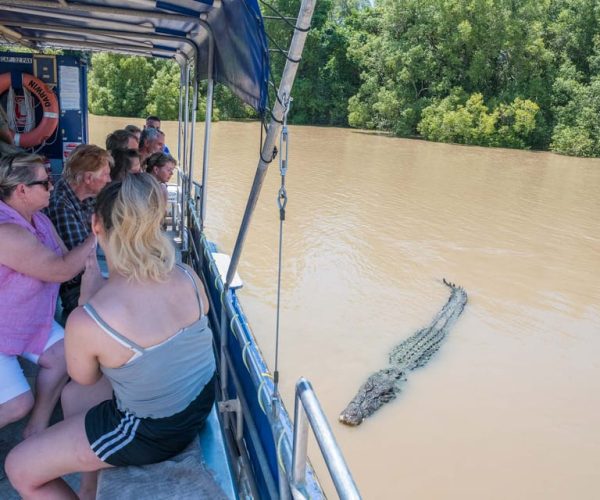 Darwin: Spectacular Jumping Crocodile Adelaide River Cruise – Northern Territory, Australia