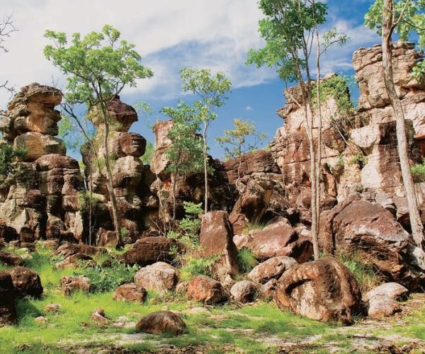 Day Tour Litchfield. Off the Beaten Path! Secret Waterfalls – Northern Territory, Australia