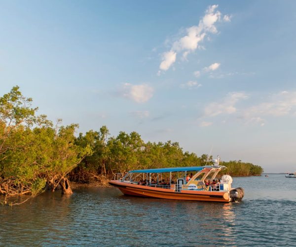 Discover Darwin Harbour: Darwin Harbour Afternoon Cruise – Northern Territory, Australia