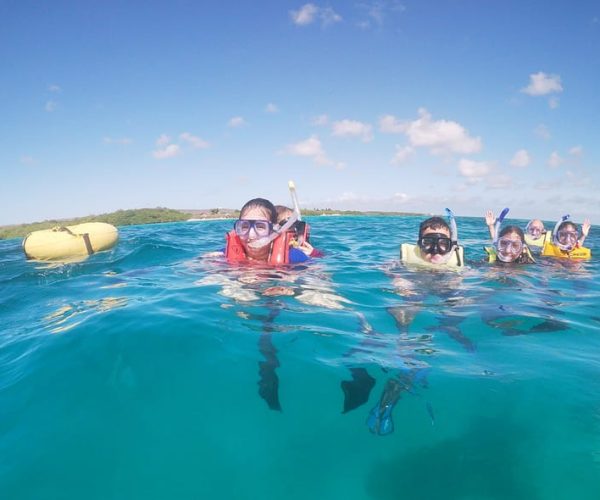 Discover Snorkeling Mangel Halto Beach – Aruba Region, Aruba