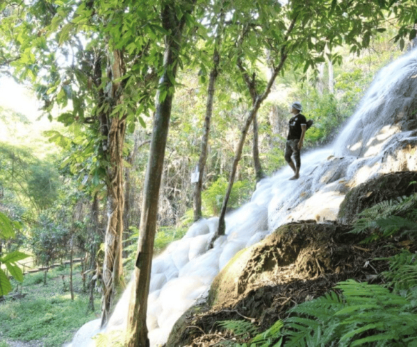 Doi Suthep Temple & Sticky Waterfall Tour – Chiang Mai Province, Thailand