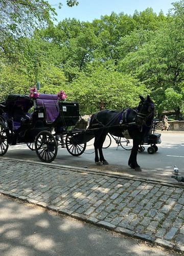 Empire State Horse Carriage Rides in Central Park since 1935 – New York City, New York