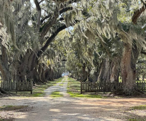 Evergreen Plantation Full Access Private Tour – Louisiana, United States