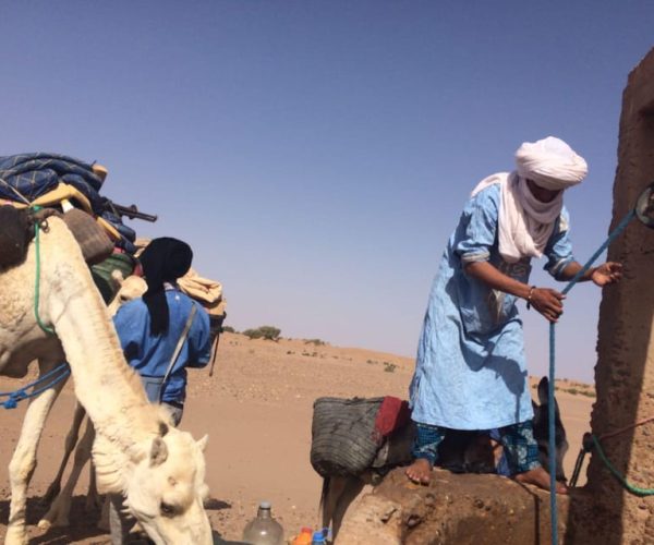 Experience the Route of old Caravans through the Vast Sahara – Souss-Massa, Morocco