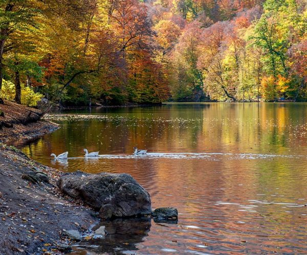 Explore the Beauty of Dilijan – Tavush Province, Armenia