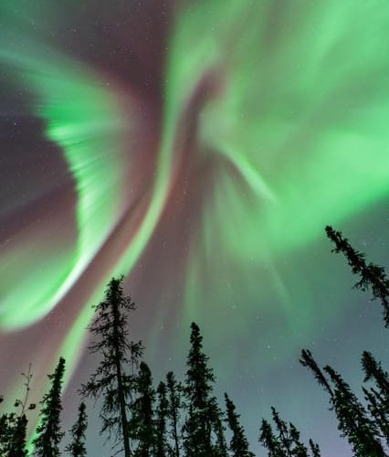 Fairbanks: Aurora Borealis Northern Lights Tour – Alaska, United States